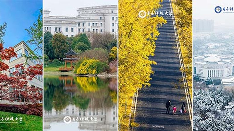 通信芯片：揭秘厂家排名背后的技术逻辑
