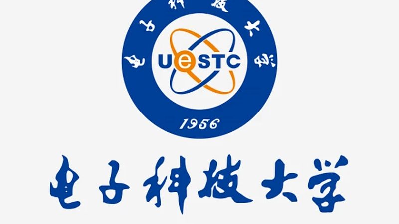 揭秘电子代工企业排名：揭秘背后的技术实力与市场策略