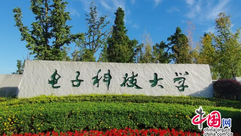 2025年电子加工利润空间：挑战与机遇并存